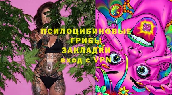 ECSTASY Семёнов